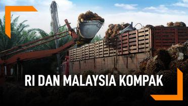 RI dan Malaysia Kompak, Protes Ke UE Soal Minyak Sawit