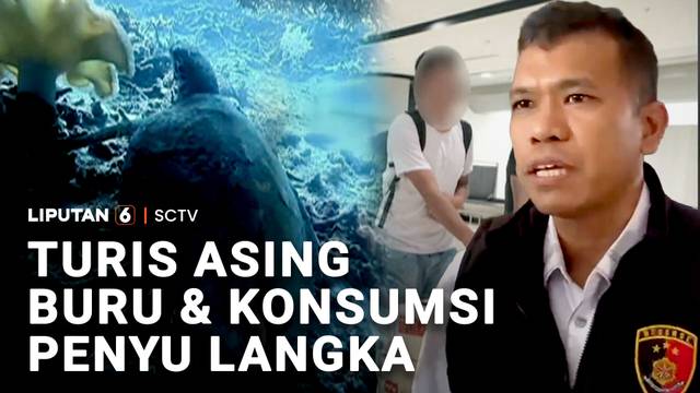 Turis Asing Buru & Konsumsi Penyu Langka | Liputan 6