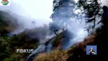 Dampak Kebakaran Gunung Sumbing, 3 Titik Api Baru Ditemukan - Fokus