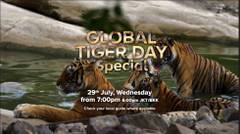Global Tiger Day Special - Hanya di Love Nature