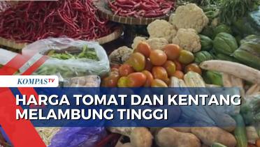 Harga Tomat dan Kentang di Semarang Melambung Tinggi