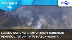 Lereng Gunung Bromo Masih Terbakar. - Liputan 6 Pagi | Moji