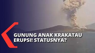 Ketinggian dari 200 hingga 1.500 Meter, Gunung Berapi Anak Krakatau Erupsi 6 Kali!