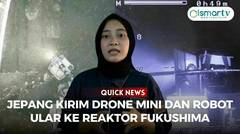 QUICK NEWS: JEPANG KIRIM DRONE MINI DAN ROBOT ULAR KE REAKTOR FUKUSHIMA