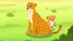 Ep 02 - Ibu Cheetah sedih  | Tayo Bahasa Indonesia