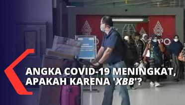 Angka Covid-19 Indonesia Meningkat Beberapa Hari Terakhir, Apakah Karena Subvarian 'XBB'?