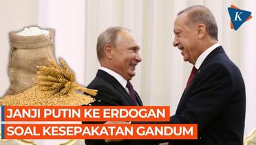 Janji Putin ke Erdogan soal Kesepakatan Ekspor Gandum