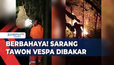 Sengat Petugas Damkar, Sarang Tawon Vespa Dibakar