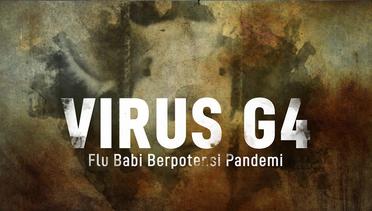 Virus G4, Flu Babi Berpotensi Pandemi