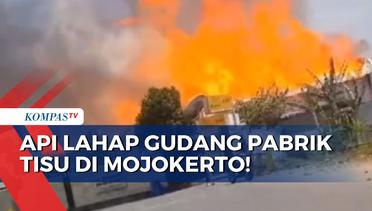 Gudang Pabrik Tisu di Mojokerto Terbakar! Butuh 15 Unit Mobil Damkar untuk Pemadaman