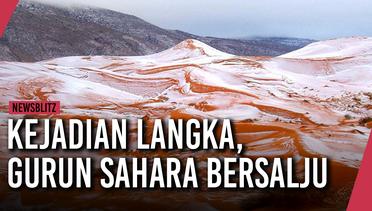 Kejadian Langka, Gurun Sahara Diselimuti Salju