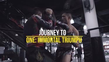 Nong-O Gaiyanghadao & Brice Delval’s Training Camps - Journey To ONE: IMMORTAL TRIUMPH - ONE VLOG