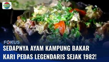 Lezatnya Ayam Kampung Bakar Kari Pedas, Diolah Secara Tradisional Sejak Tahun 1982! | Fokus