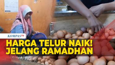 Jelang Ramadhan Harga Telur Naik!