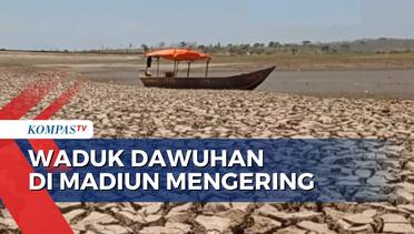 Imbas Mengeringnya Waduh Dawuhan di Madiun, Petani Harus Keluarkan Biaya Tambahan Pompa Air
