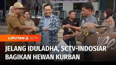SCTV-Indosiar Bagikan 7 Sapi & 36 Kambing pada Warga di Sekitar Area Studio Indosiar | Liputan 6