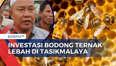 Warga Tasikmalaya Jadi Korban Investasi Bodong Ternak Lebah, Rugi Hingga Miliaran Rupiah!
