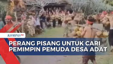 Ritual Unik, Perang Pisang untuk Cari Pemimpin Pemuda di Desa Adat Bali