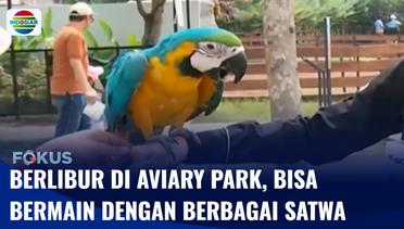 Live Report: Wisata Akhir Pekan di Aviary Park, Bisa Bermain dengan Berbagai Jenis Satwa | Fokus