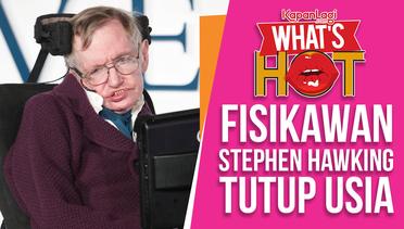 Stephen Hawking Meninggal Dunia