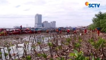 Hari Ke-9 Proses Pembersihan Sampah Teluk Jakarta - Liputan6 Siang