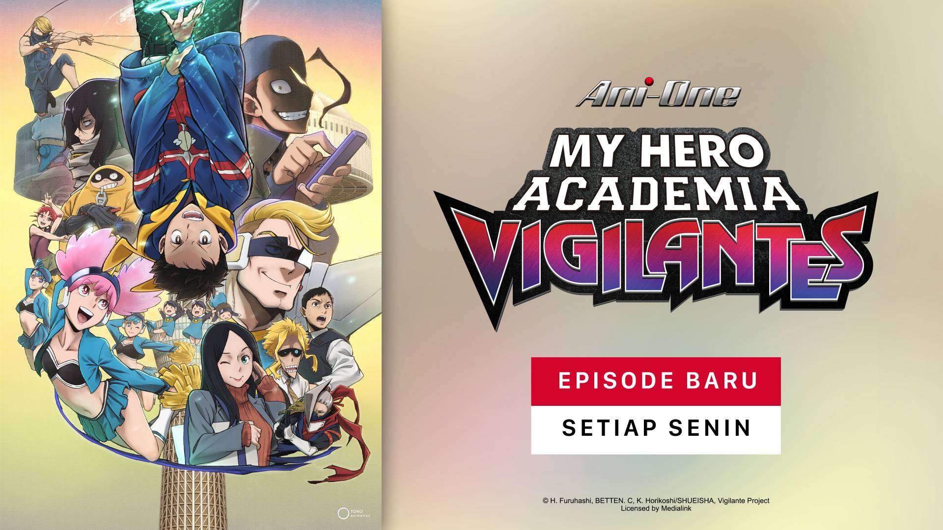 My Hero Academia: Vigilantes