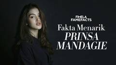 Fakta Menarik Prinsa Mandagie | FameFacts
