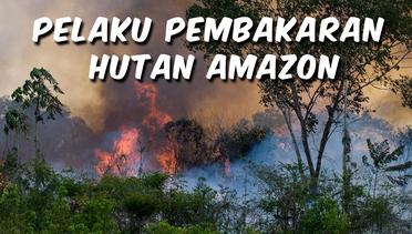 TOP 3: Siapa Pelaku Pembakaran Hutan Hujan Amazon?