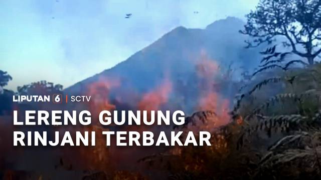 Lereng Gunung Rinjani Terbakar | Liputan 6