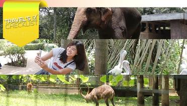 TRAVEL'S CHECKLIST - Ragunan Zoo