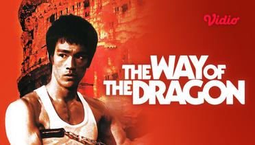 The Way of the Dragon - Trailer