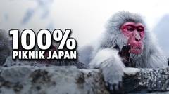 100%PIKNIK (JAPAN) Nagano - Yudanaka - Jigokudani