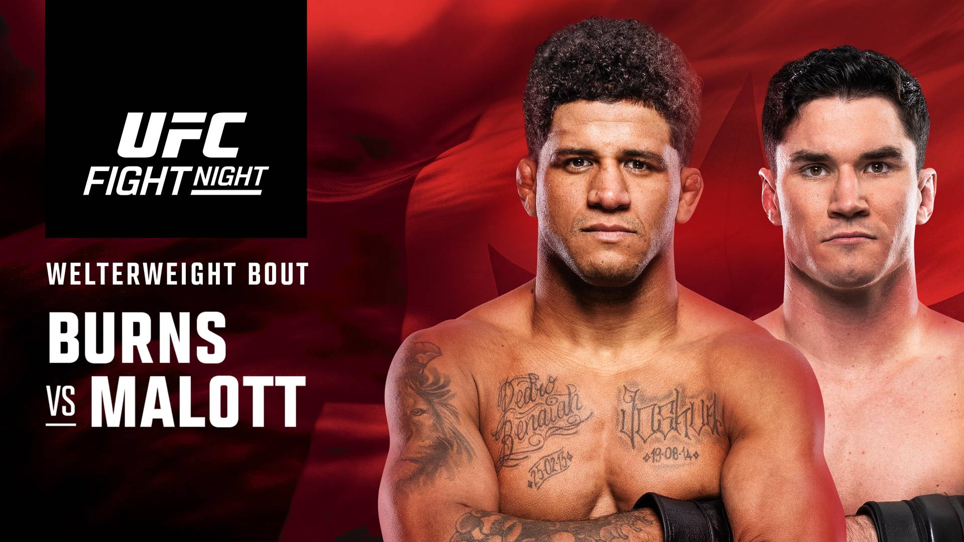 UFC Fight Night: Burns vs Malott