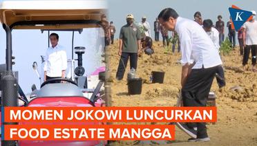 Luncurkan Food Estate Mangga, Jokowi Minta Lahan Rakyat dan Swasta Terintegrasi