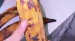 beli pisang gde _-
