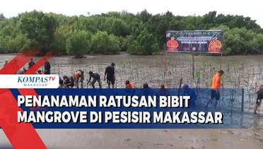 Penanaman Ratusan Bibit Mangrove Di Pesisir Makassar