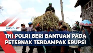TNI Polri Beri Bantuan Pada Peternak Terdampak Erupsi