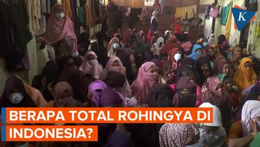 Berapa Total Pengungsi Rohingya di Aceh?