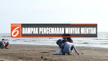 Dampak Pencemaran Minyak Mentah Pertamina, Pantai Tanjung Pakis Sepi - Liputan 6 Siang