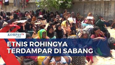 219 Etnis Rohingya Terdampar di Sabang Warga Menolak