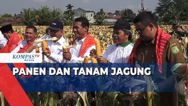 Menteri Pertanian dan Wali Kota Medan Panen dan Tanam Jagung