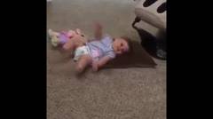Funny Baby | Bayi Mengemaskan main bersama Hewan Peliharaan