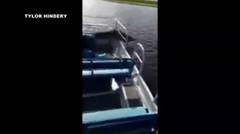 Alligator masuk perahu penumpang wisata