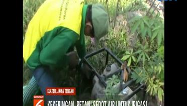 Dampak Kemarau di Klaten, Petani Terpaksa Sedot Air dengan Diesel - Liputan 6 Terkini