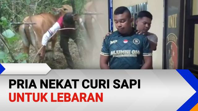 Pria Nekat Curi Sapi untuk Lebaran | Patroli