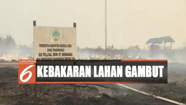 Kebakaran Lahan Gambut Ratakan Sekolah di Kalimantan - Liputan 6 Terkini 