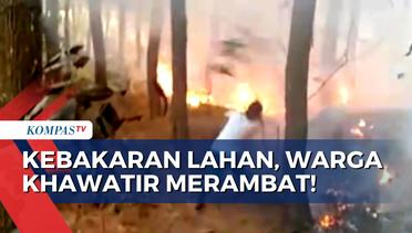 Kebakaran Lahan di Majalengka dan Indramayu Jabar, Warga Khawatir Api Merambat ke Permukiman!