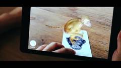 Animal 4D+ Augmented Reality Flashcard