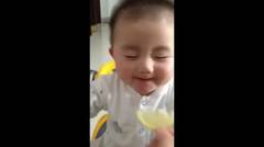 Ekspresi imut dan gemesin bayi ketika makan lemon.