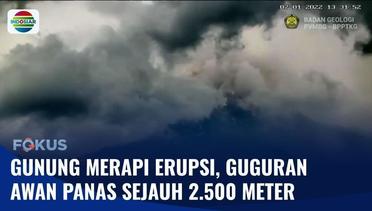Guguran Awan Panas Gunung Merapi Meluncur Sejauh 2.500 Meter | Fokus